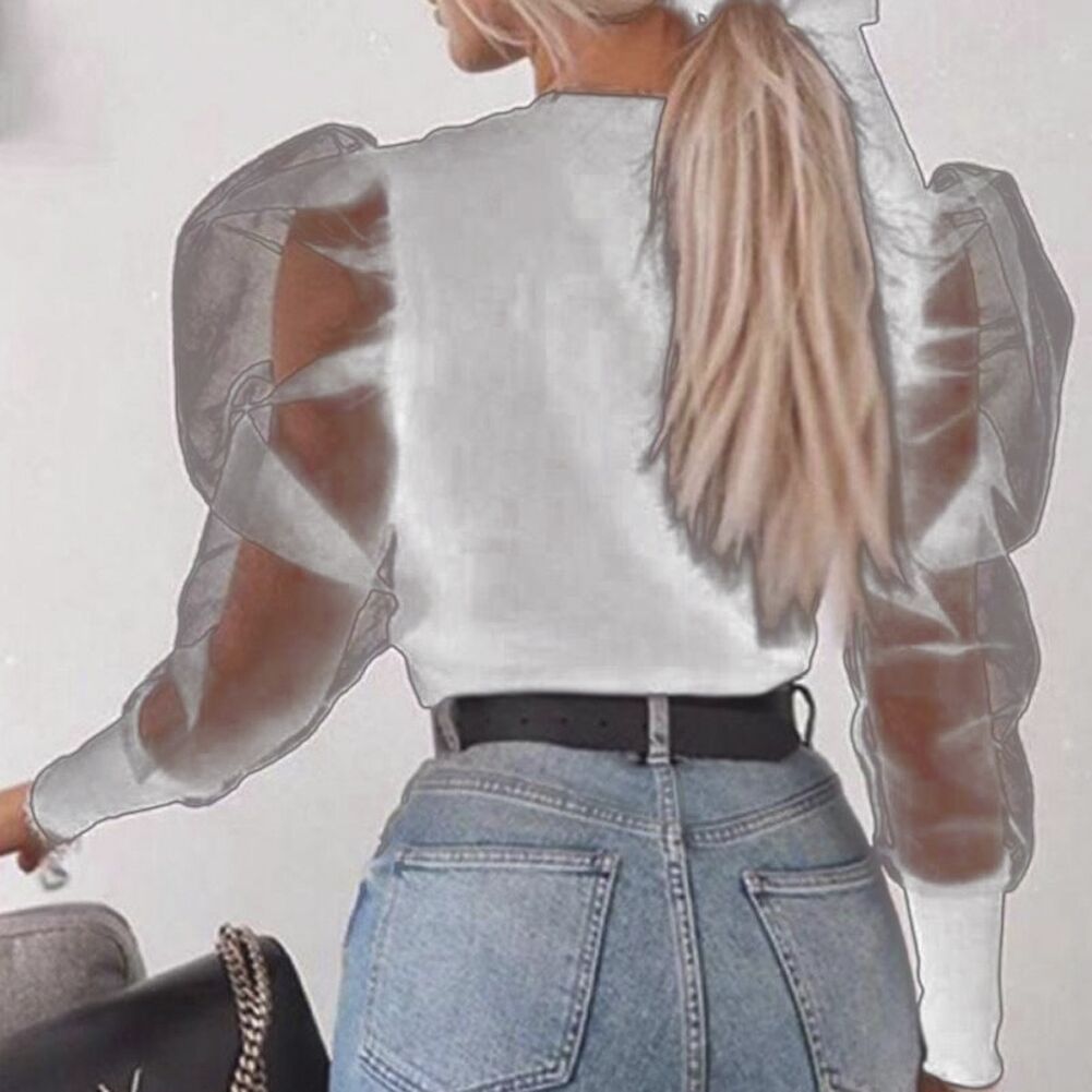 Puff Sleeve Sheer Blouse