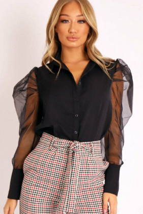 Puff Sleeve Sheer Blouse