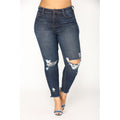 Plus Size High Waist Shredded Jeans